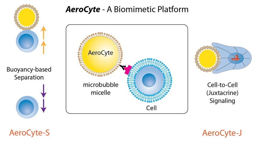 AeroCyte Image